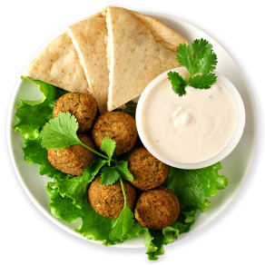 menu novelty 1